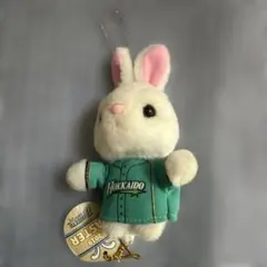 Item thumbnail for item 18535124-47c2-4191-b537-15c7a1fd9462