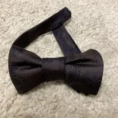 Item thumbnail for item 607b6c6d-36ee-4d7a-9cee-8cb7a2dfd9ee