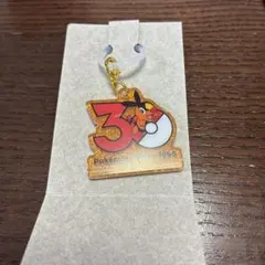 ポケモン 30周年 ロゴマスコット 2 ポカブ