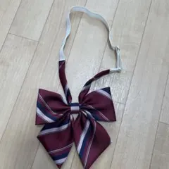 訳アリ　制服リボン　EASTBOY 赤　イーストボーイ