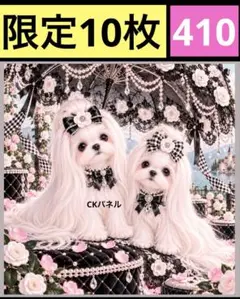 限定10枚！　レアパネル生地　無くなり次第終了です　6犬種パネル
