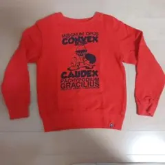 Item thumbnail for item 0d4aea9e-1408-4606-82dc-754cb8fdb615