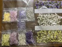 ドライフラワーセット 5色入り