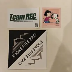 ステッカー 3枚セット Team REC スヌーピー ZAO シール