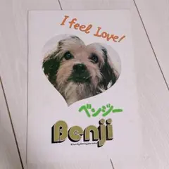 2025年最新】ベンジーの人気アイテム - メルカリ