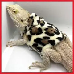 Item thumbnail for item 3f6464cd-061a-4e6b-bb53-7cdad78e4193