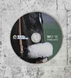 ザラブレ 3月号付録DVD 競馬映像