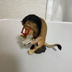 アニマルキャンプ