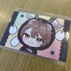 カラフルピーチ　東武動物公園　イルミネーション　　　後半グッツ　うり　1点