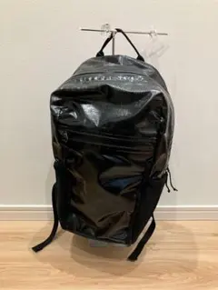 ご*す様 スプレーグラウンド リュック ゴールド スネーク パイソン 蛇
