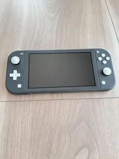 Nintendo Switch Lite 本体 ケース