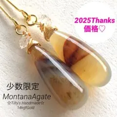 天然石♡大粒モンタナアゲート1粒ハーキマーアクセントのピアス14kgf