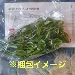 柚子の葉 120枚 無農薬 アゲハ餌 - メルカリ