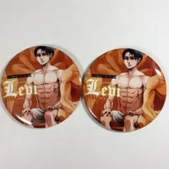 2026年最新】進撃の巨人 缶バッジ 付録の人気アイテム - メルカリ
