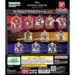 ディズニーツイステッドワンダーランド カプセルアクリルチャーム　リドル・トレイ
