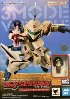 タイニーセッション YF-19