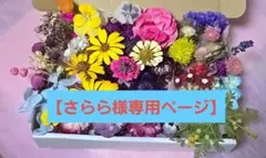 【さらら様専用】ドライフラワー花材・(ミニ)