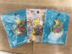 ポケモンセンター スカイ & DX ピンバッジ3セット