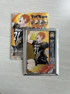 ハイキュー　ステータスカードコレクション