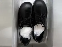 STRIDE　ADDICT ST01