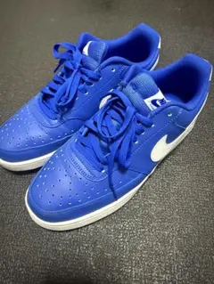 【試着程度】Nike 青 スニーカー