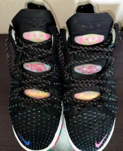希少モデル‼️Nike LeBron バスケットボールシューズ /カラフル/26