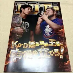 Item thumbnail for item ef1dd27e-e9ea-4cdb-a93c-2d96409c9c43