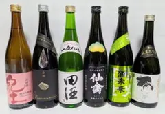 2026年最新】森嶋 日本酒の人気アイテム - メルカリ