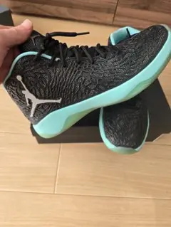 ナイキ ジョーダン バッシュ ultra fly