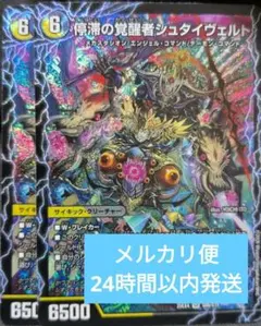 時空の停滞シュタイヴァル/停滞の覚醒者シュタイヴェルト　2枚セット
