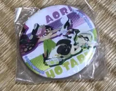 スプラトゥーン Splatoon アオリ ホタル シオカラーズ 缶バッチ レア