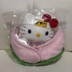 当時物 ハローキティ ご当地キティ 山口限定 夏みかん ぬいぐるみ レア 当時物 ハローキティ ご当地キティ 山口限定 夏みかん ぬいぐるみ レア