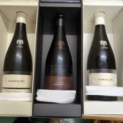 2025年最新】新政 異端教祖の人気アイテム - メルカリ