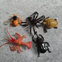 Item thumbnail for item bf5bae47-856a-40ae-bdb1-16c3ee6fc0fb