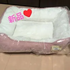 Item thumbnail for item 4d80a57a-ebe3-4ddb-ab7b-3c012f08a304