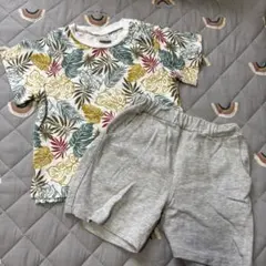 プティマイン 葉柄セットアップ　90