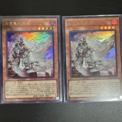 白き竜の落胤 ウルトラレア 2枚 黒き竜のエクレシア レリーフ セット