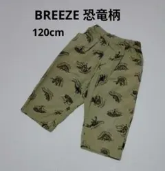 BREEZE 恐竜柄 ハーフパンツ