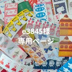 e3845様専用ページ　300枚