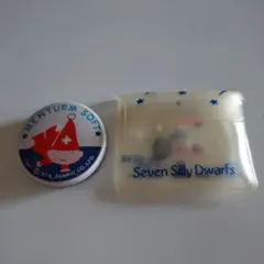 昭和レトロ サンリオ メンタームソフト ミニチュアケース