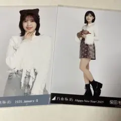 乃木坂46 生写真　2025年干支巳　猫耳ニット帽　柴田柚菜　まとめ売り
