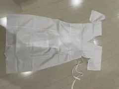 Item thumbnail for item 91d71e5f-0621-451a-9bdc-6e02a0f94103