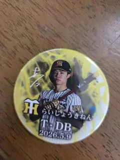 阪神タイガース 中野拓夢 メタリック缶バッジ STADIUM HEROES - メルカリ