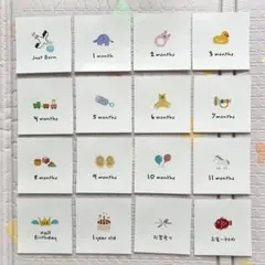 月齢カードセット 16枚