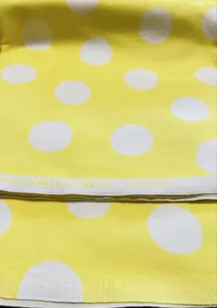 Item thumbnail for item 0e944d95-05b5-4e5d-9112-f893dab33dba