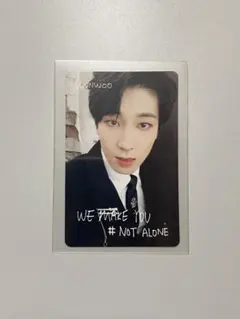 【917】 SEVENTEEN WE MAKE YOU ウォヌ