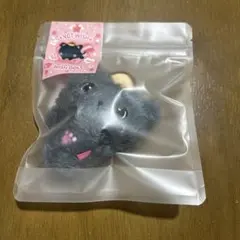 (リク)nct wish 公式グッズ pocket wish doll未開封