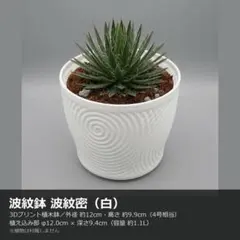 B410 3Dプリンター鉢 4号 内径12cm 波紋密 白 植木鉢 作家鉢 薄肉