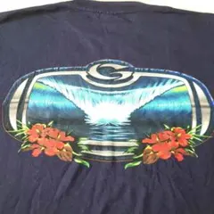 90s 00s usa製 GOTCH Ｔシャツ　oldsurf ガッチャ　美品のサムネイル
