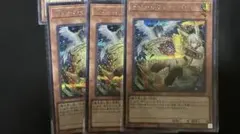 遊戯王　ドロール&ロックバード　シークレット　絵違い